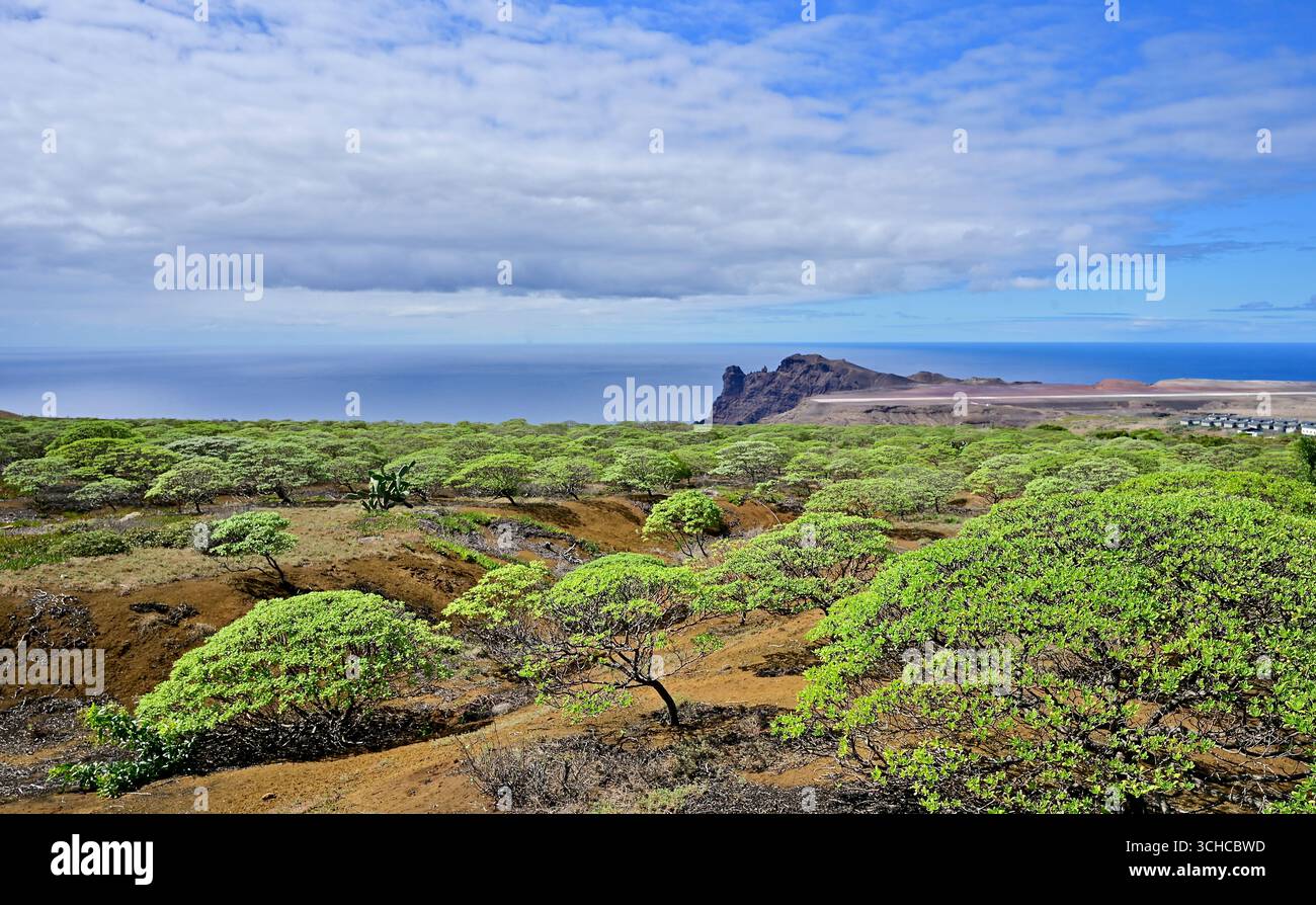 St helena island hi-res stock photography and images - Alamy