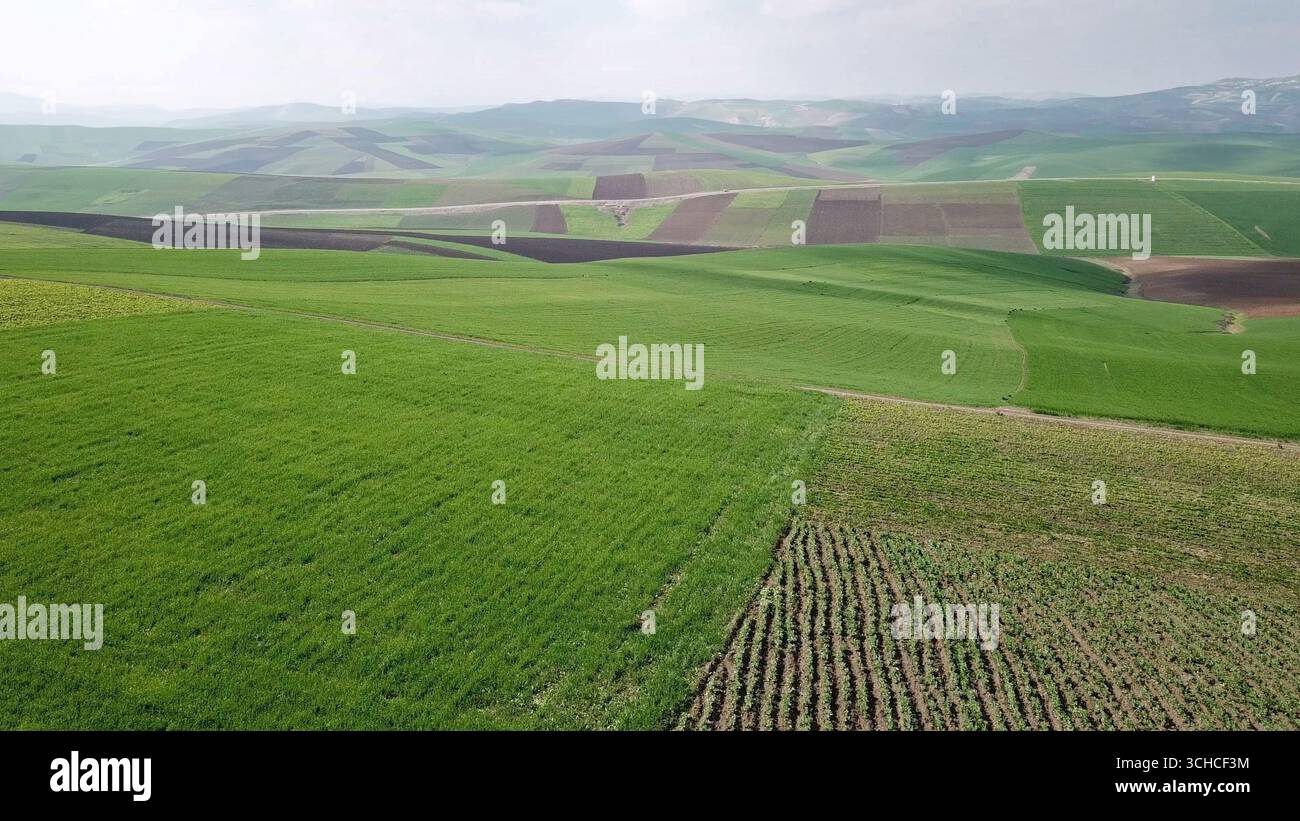 Aerial green fields in morocco hi-res stock photography and images - Alamy