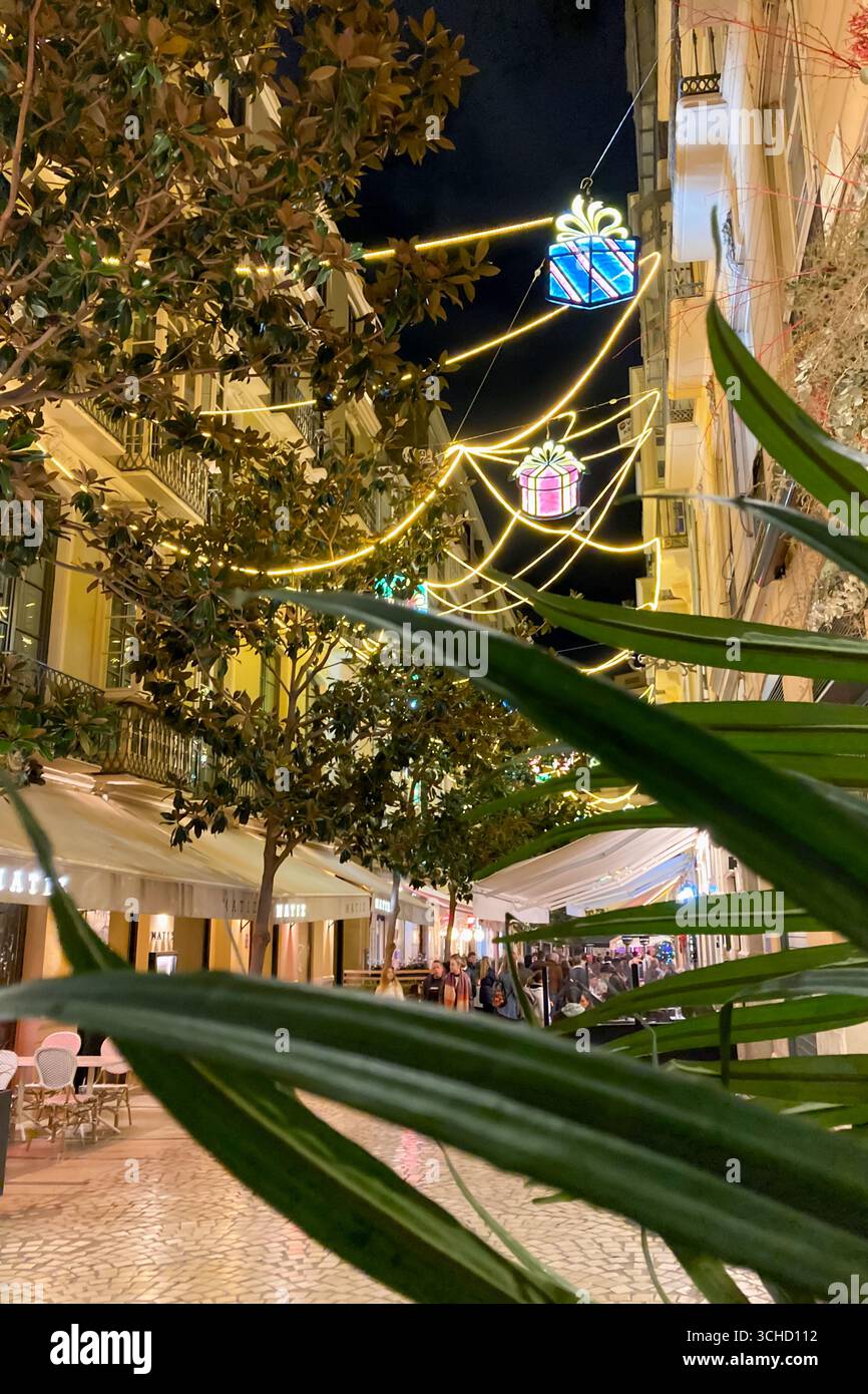 MALAGA, SPAIN - DECEMBER 21, 2024: The city center glows with enchanting Christmas decorations, creating a festive wonderland in Malaga, Spain - Smartphone Captured Stock Image