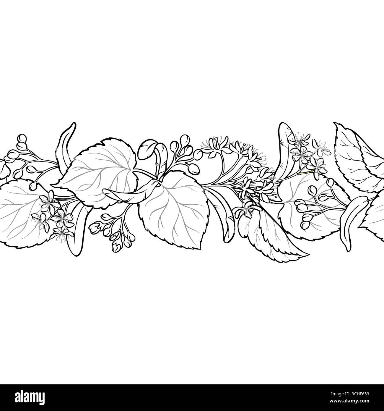 Linden Outline Horizontal Seamless Pattern Stock Vector
