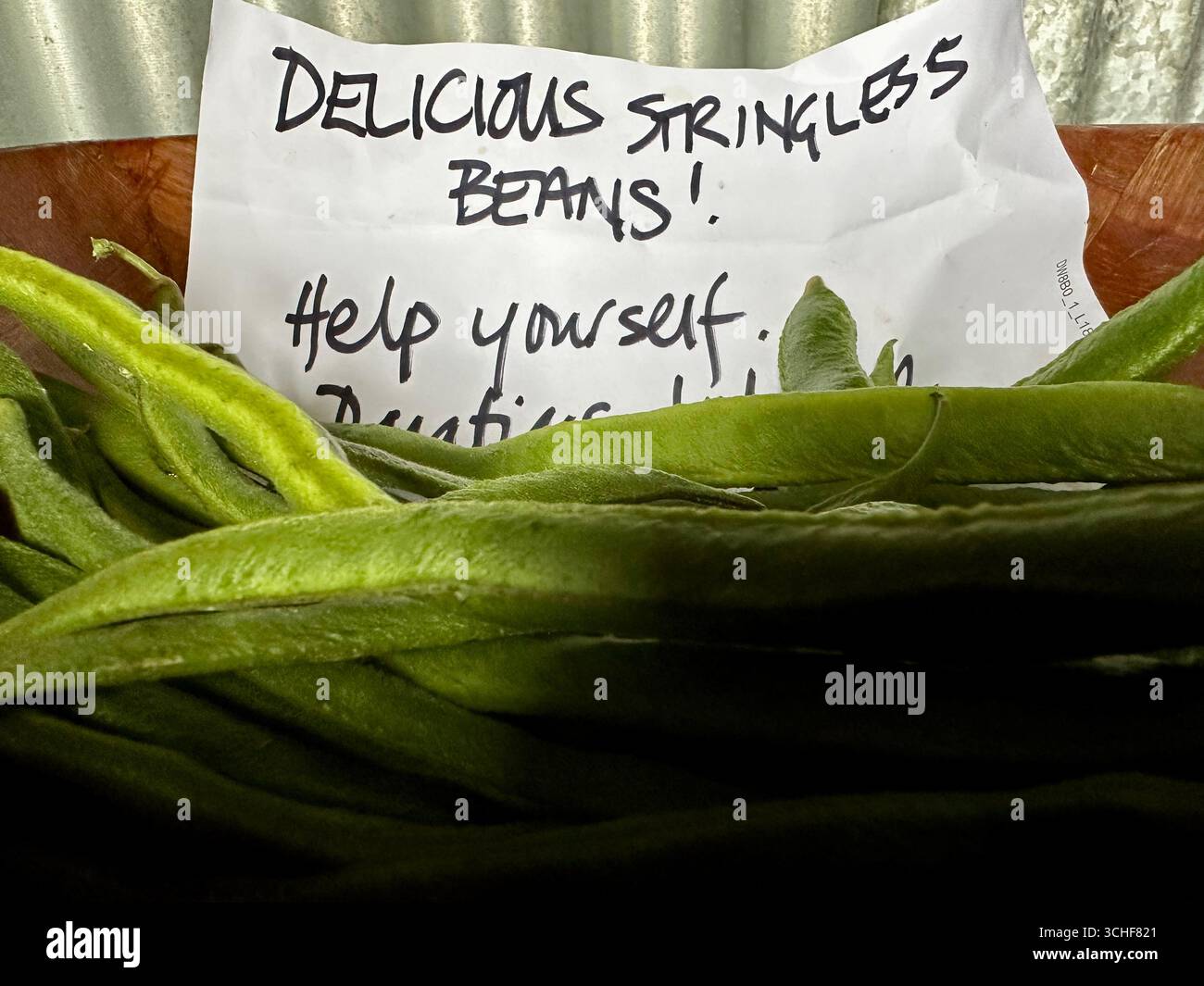 Stringless beans given away with a sign saying Delicious stringless beans Help yourself - Smartphone Captured Stock Image