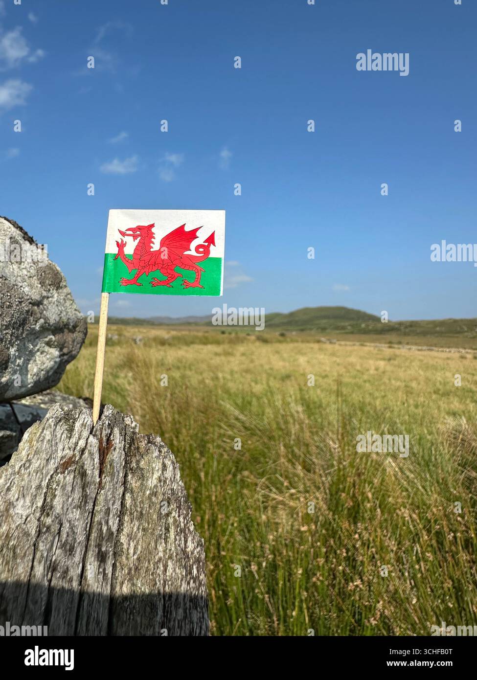 A Wales flag in typical Welsh landscape - Smartphone Captured Stock Image