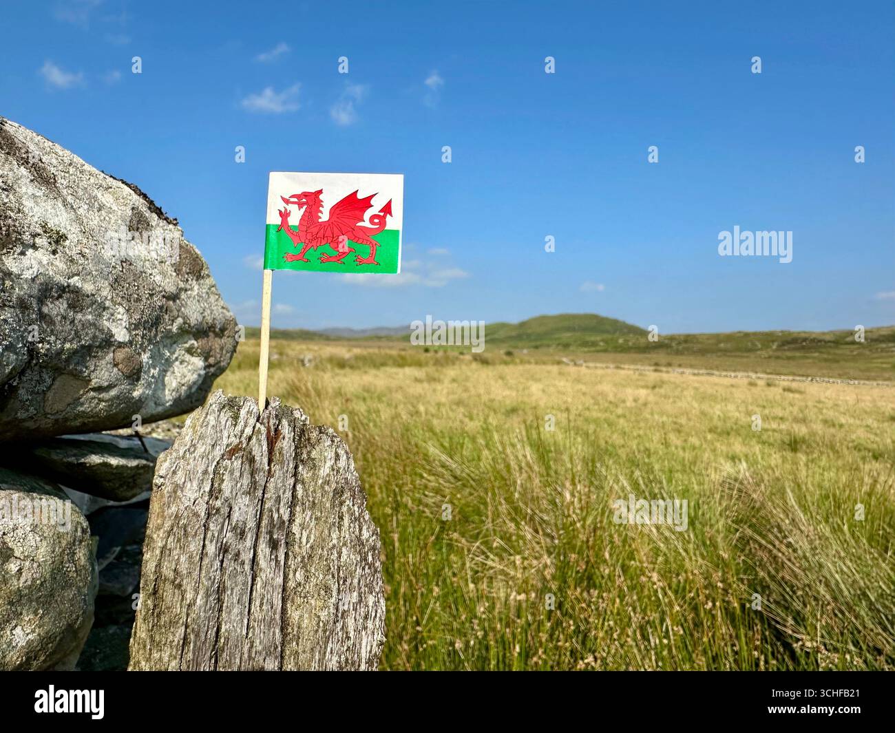 A Wales flag in typical Welsh landscape - Smartphone Captured Stock Image