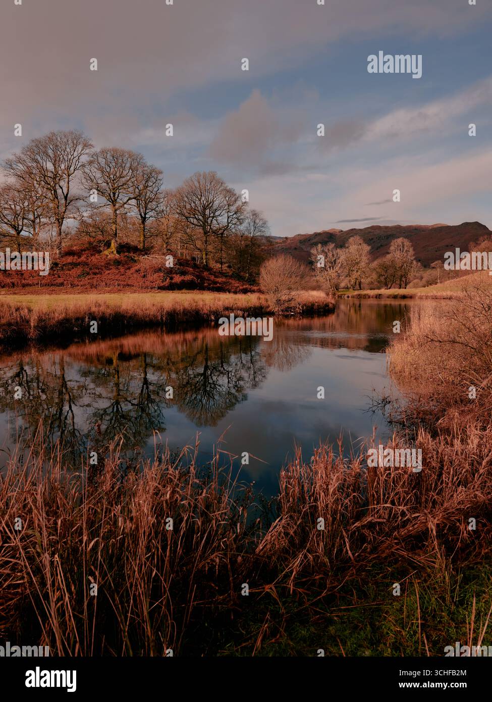 The river Brathay Elterwater autumn landscape of Great Langdale valley in the Lake District National Park, Cumbria England UK Stock Photo