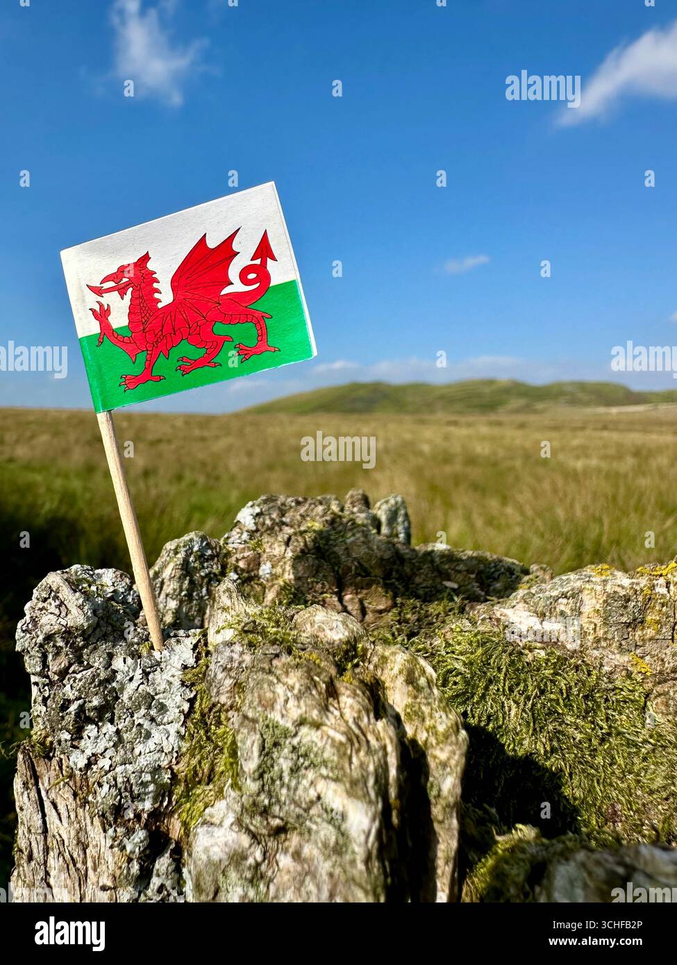 A Wales flag in typical Welsh landscape - Smartphone Captured Stock Image