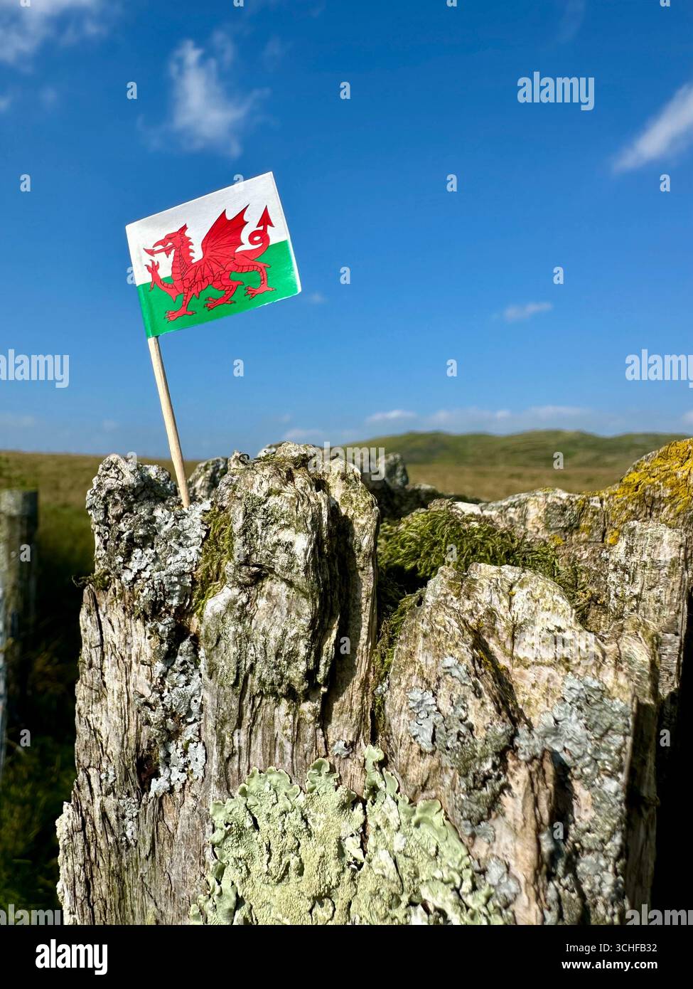 A Wales flag in typical Welsh landscape - Smartphone Captured Stock Image