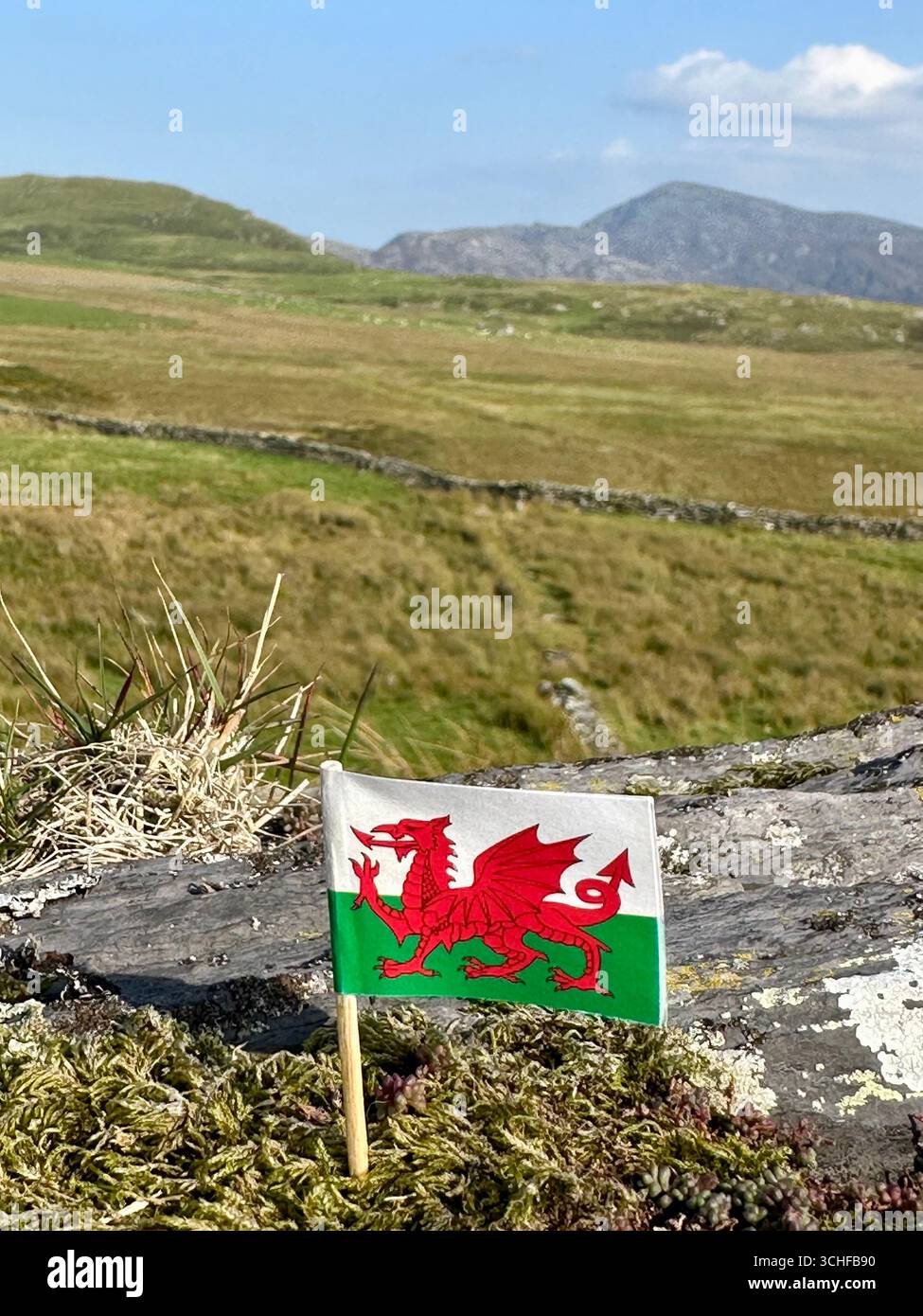 A Wales flag in typical Welsh landscape - Smartphone Captured Stock Image