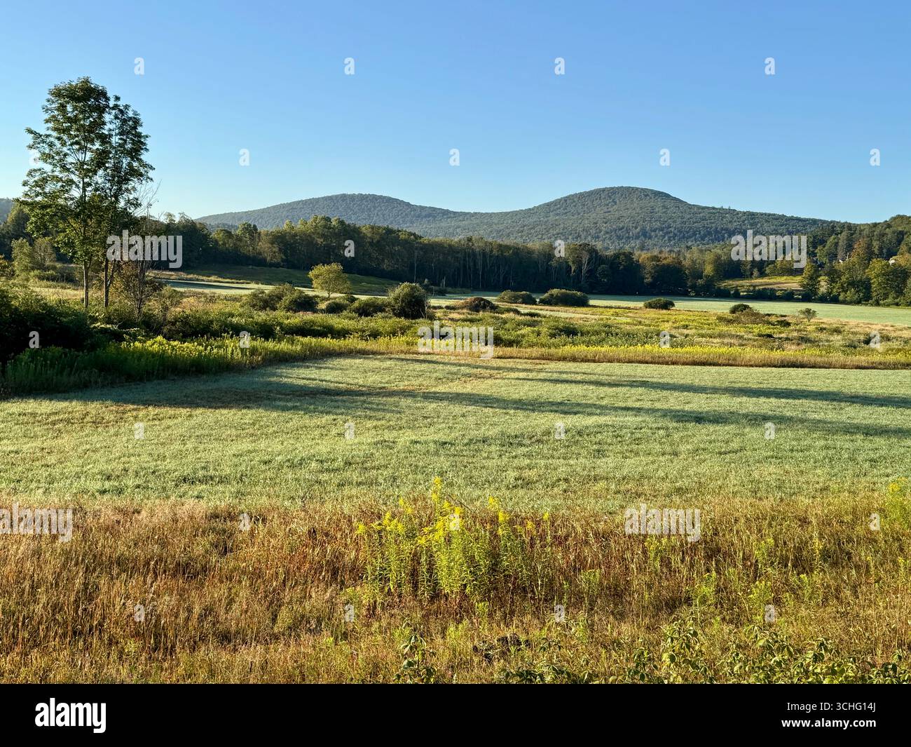 The winding meandering Windham Path. walk, bike, hike or run. A meadow, creek, stream enjoying the golden hour sunrise. Small town countryside ski. - Smartphone Captured Stock Image