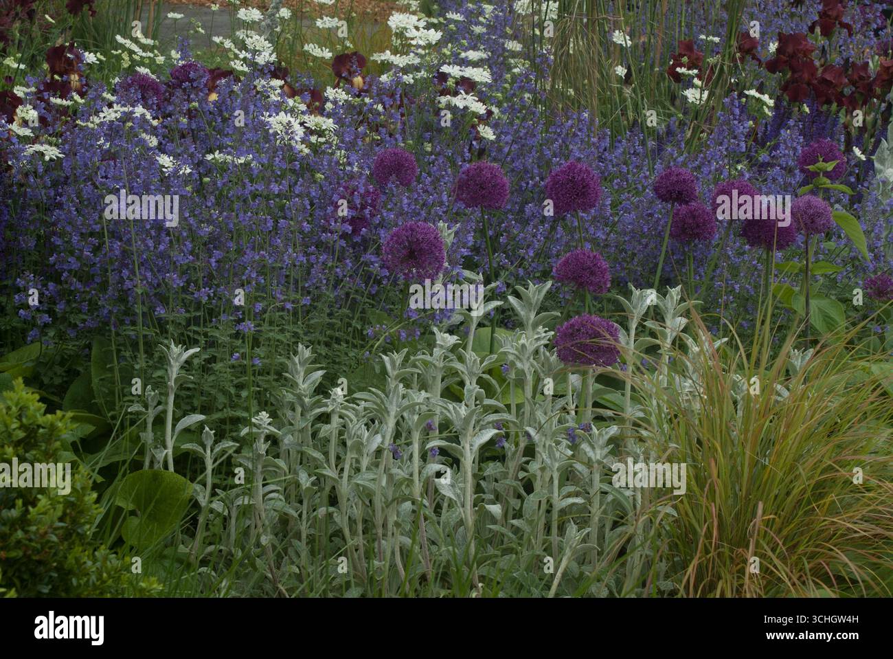 Gallery image with a fresh perspective