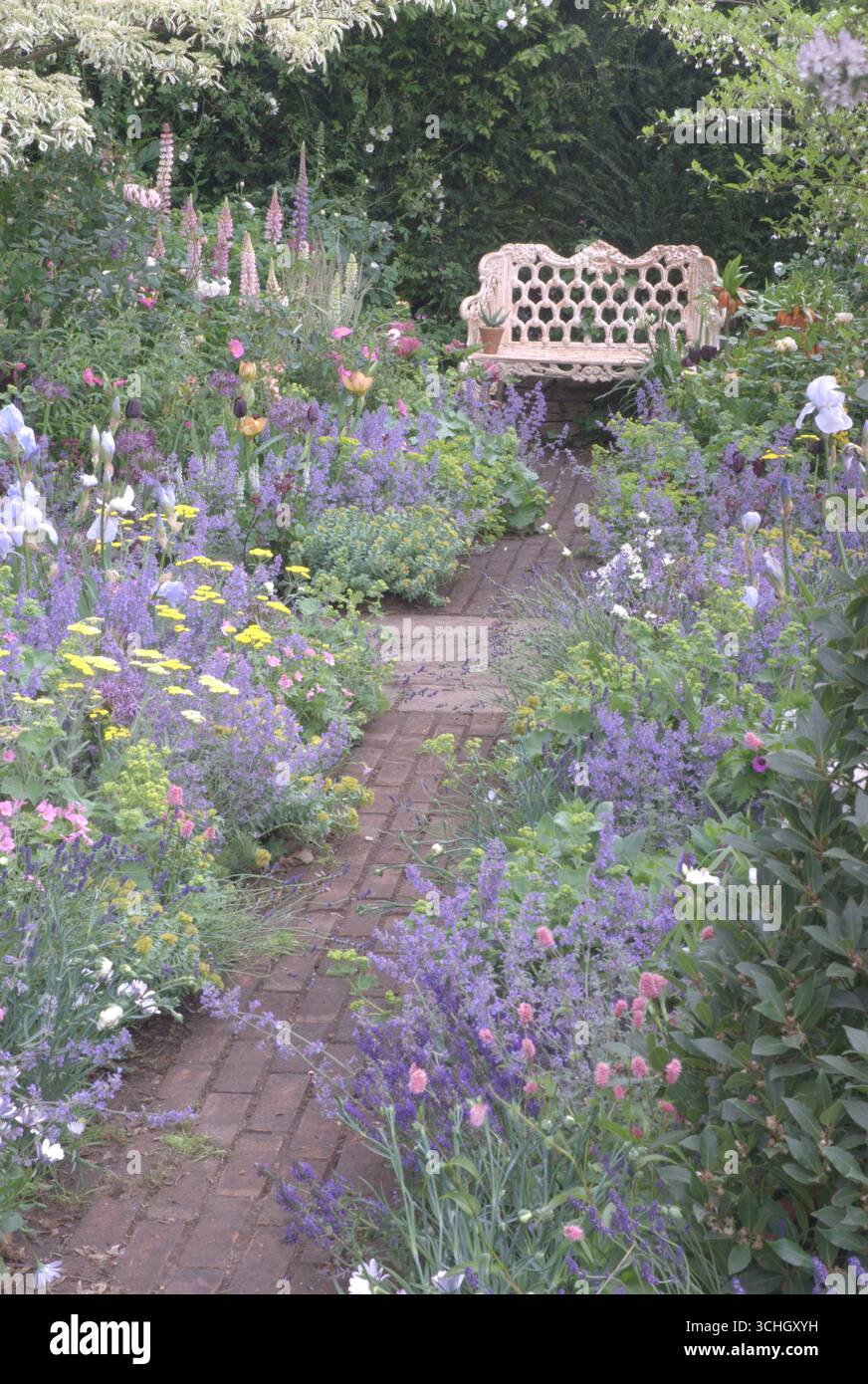 A tranquil garden pathway lined with vibrant flowers and greenery leads ...