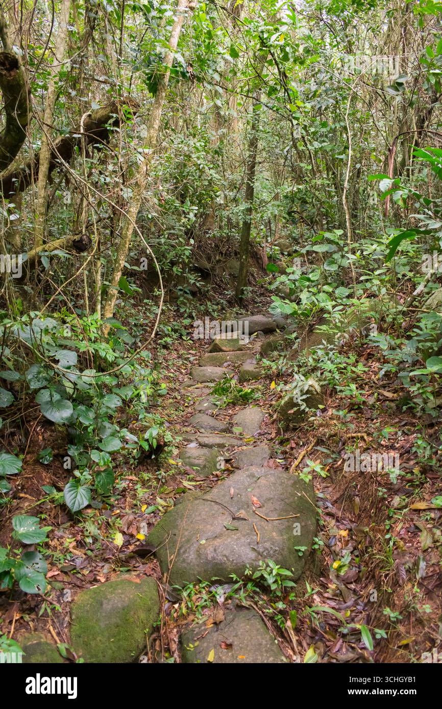 Peri Path Caminho da Gurita hiking path at Lagoa do Peri - Florianopolis island ...