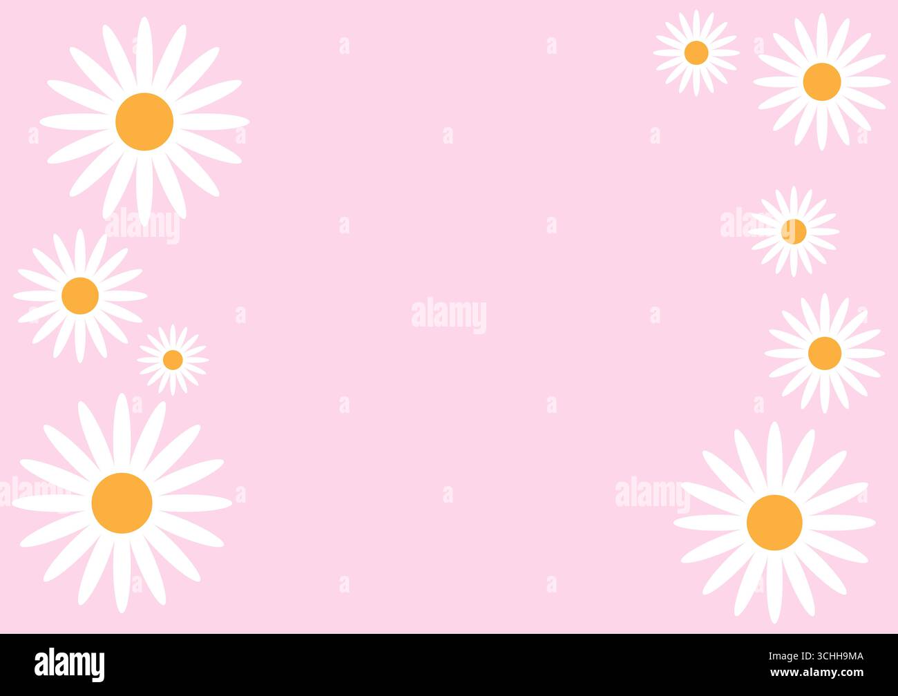 Daisy flower on Plain background. Summer background with Daisy. Vector Illustration. Stock Vector