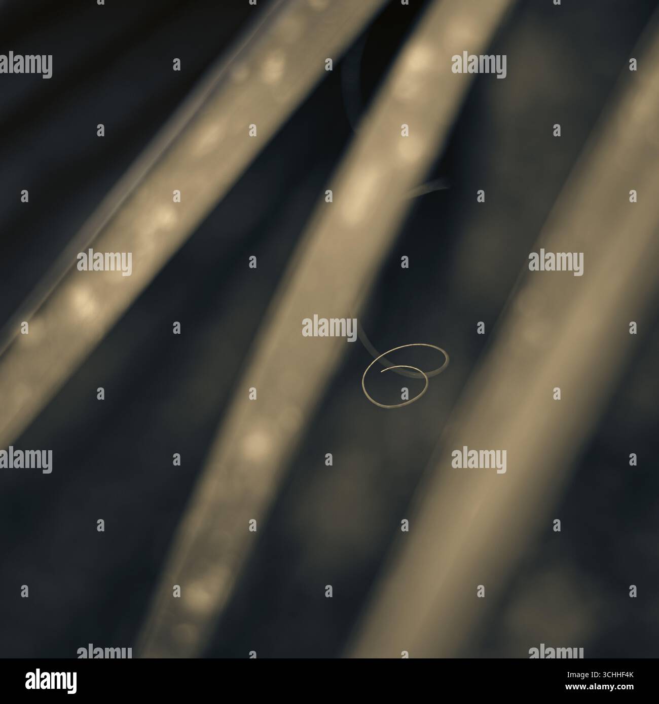 Photography art hi-res stock photography and images - Alamy