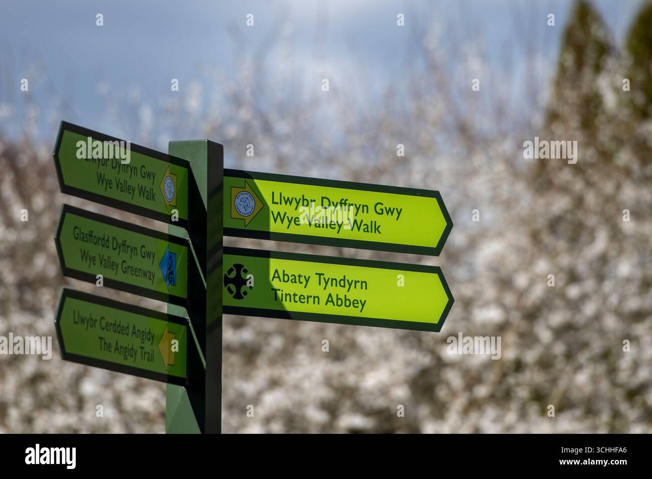signpost written in english and welsh language at tintern abbey on the ...