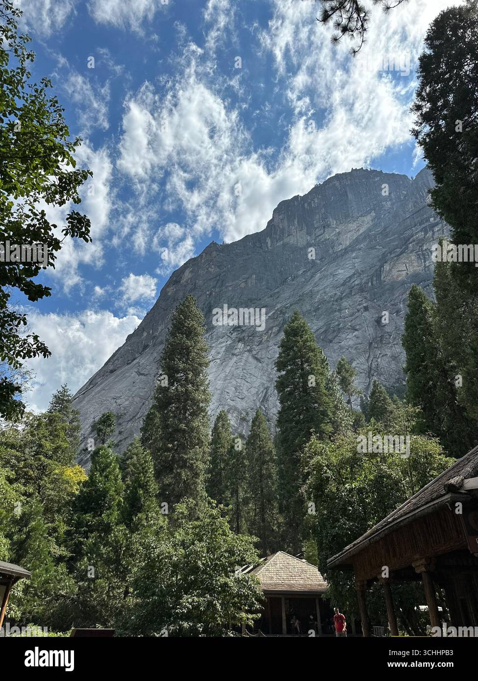 Majestic granite cliffs rising above pine trees in Yosemite National Park, California, under a partly cloudy blue sky. - Smartphone Captured Stock Image