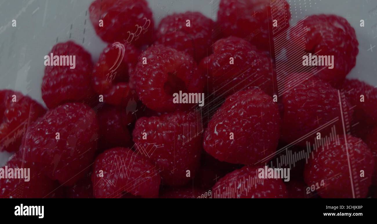 Displaying fresh raspberries on pale surface, featuring translucent line chart overlays Stock Photo