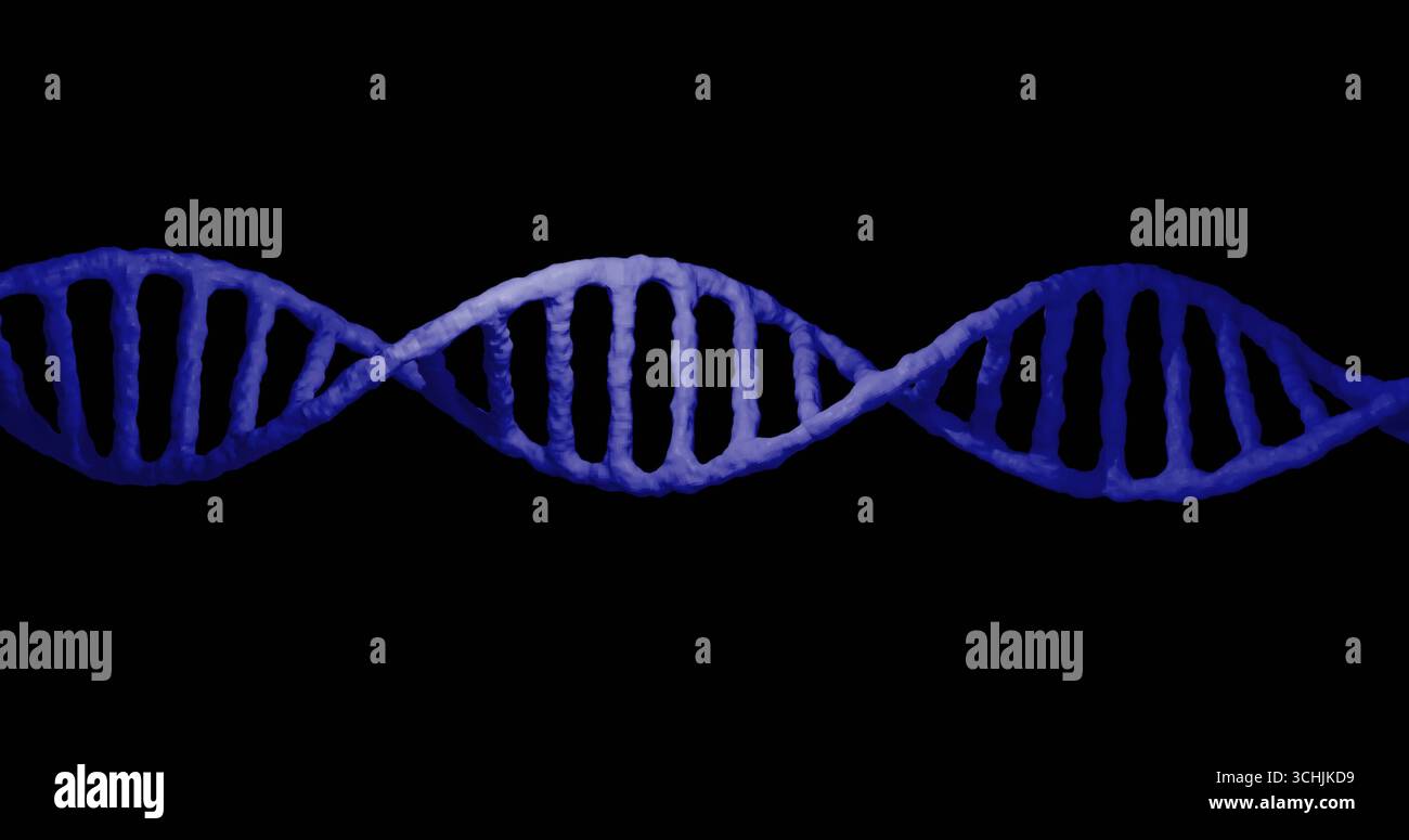 Displaying 3D DNA double helix model twisting horizontally on solid black backdrop, gradient blue Stock Photo