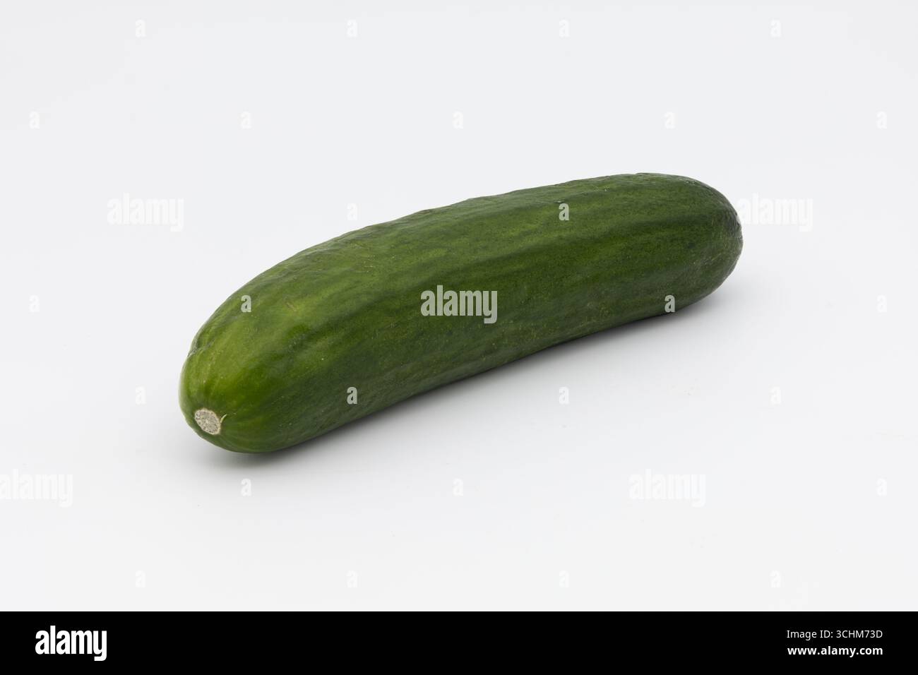 A single green cucumber on a white background. Stock Photo