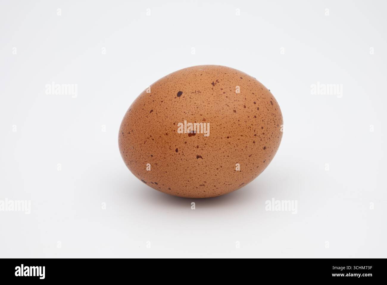 Brown speckled egg isolated on white. Stock Photo