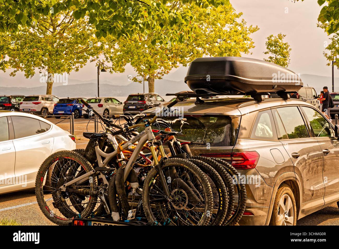 Wunderbar Transport Von Fahrrdern Bild