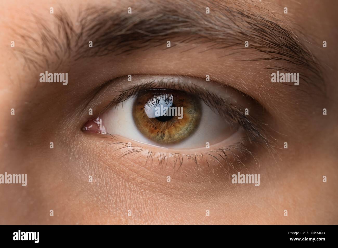 Hazel green eyes hi-res stock photography and images - Alamy