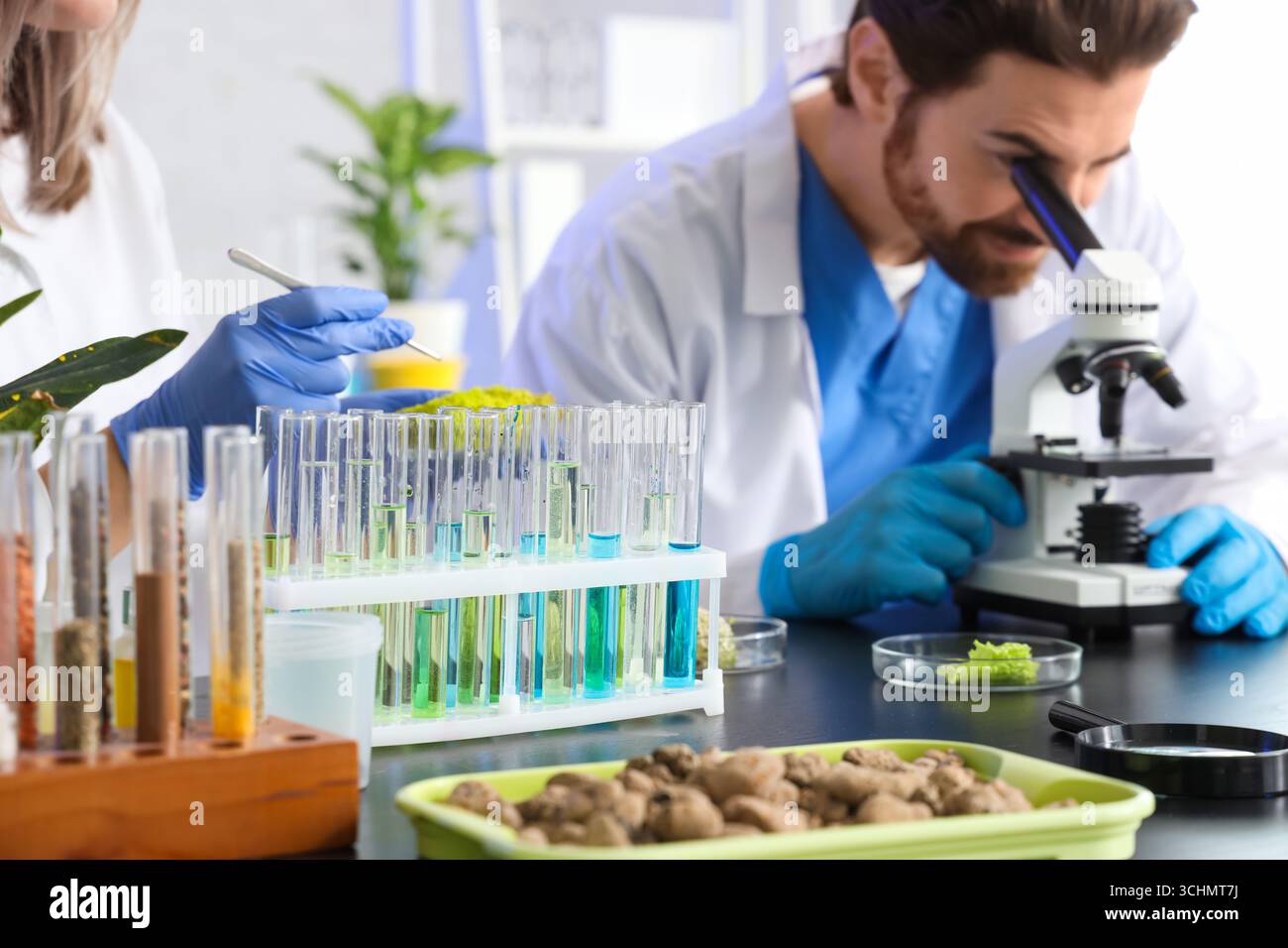 Agricultural engineers working at table in laboratory, closeup Stock Photo