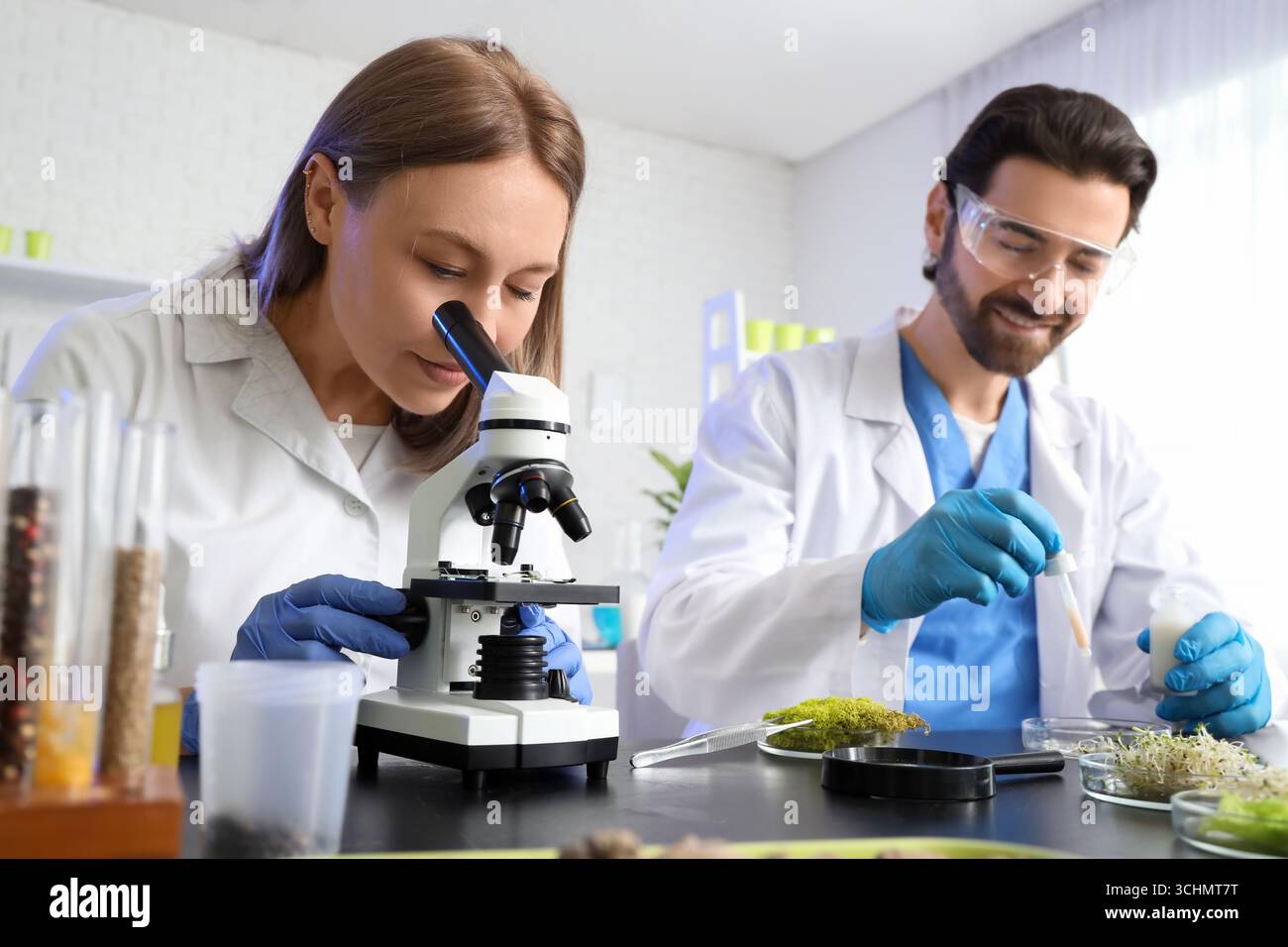 Female agricultural engineer looking through microscope in laboratory Stock Photo