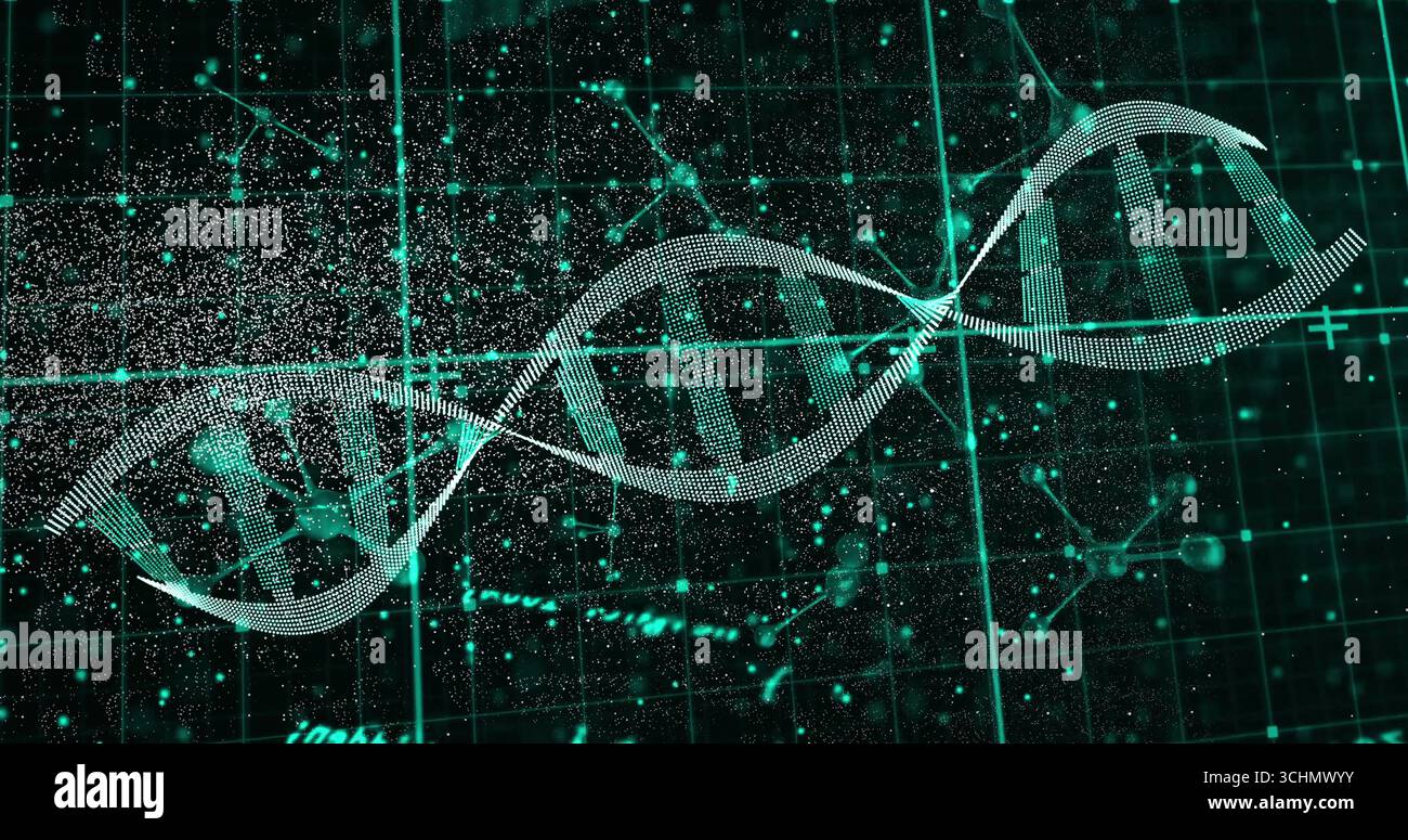 Floating DNA double helix rotating in digital environment, showing network nodes and data stream Stock Photo