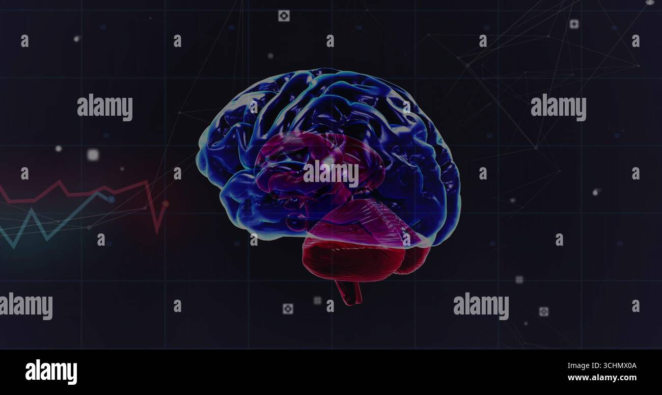 Floating 3D-rendered brain model glowing over grid background, with data nodes and waveform chart Stock Photo