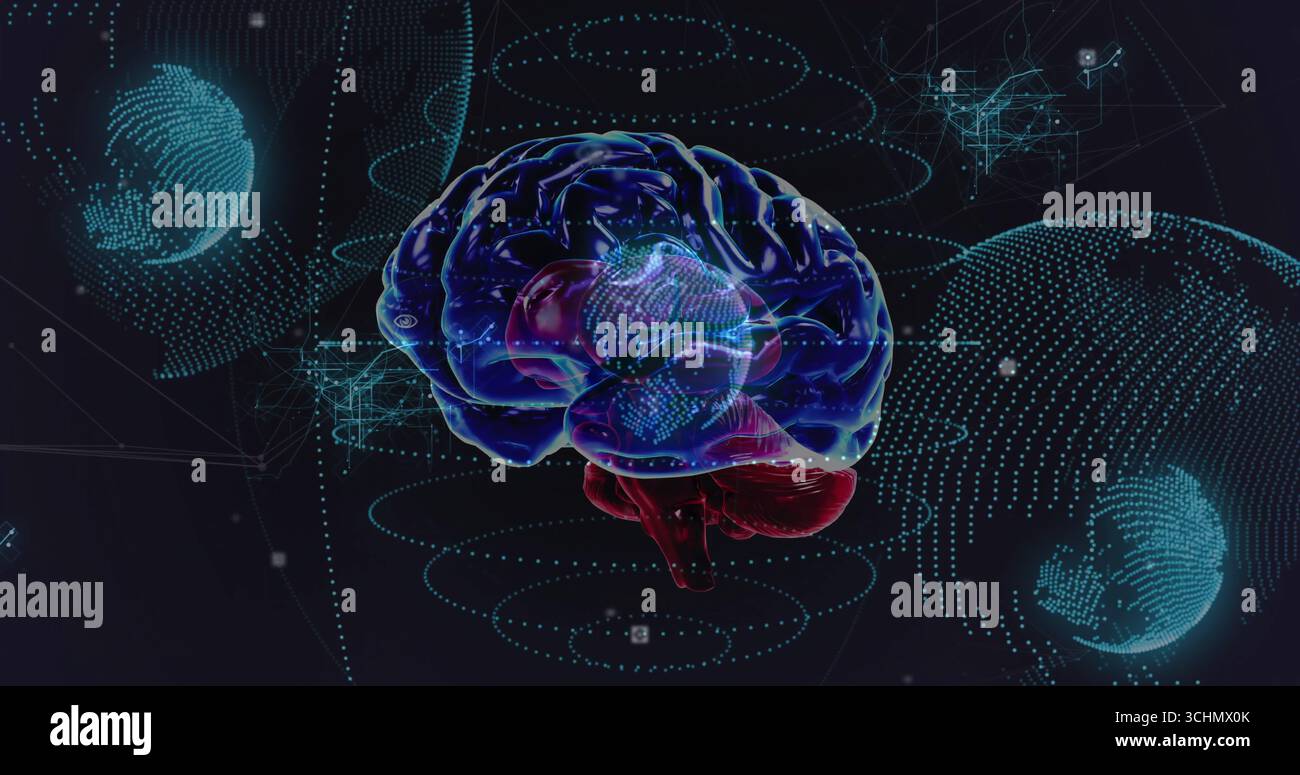 Glowing translucent brain model floating in virtual data space with globe wireframes, data rings Stock Photo