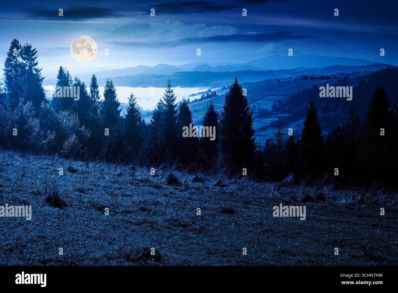 rural area of mountains in autumn at night. wonderful highland in full moon light observed from the hillside. meadows on rolling hills near spruce for Stock Photo