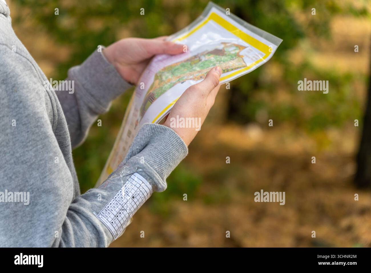 Athlete holding a map during orienteering competitions. Athlete uses ...