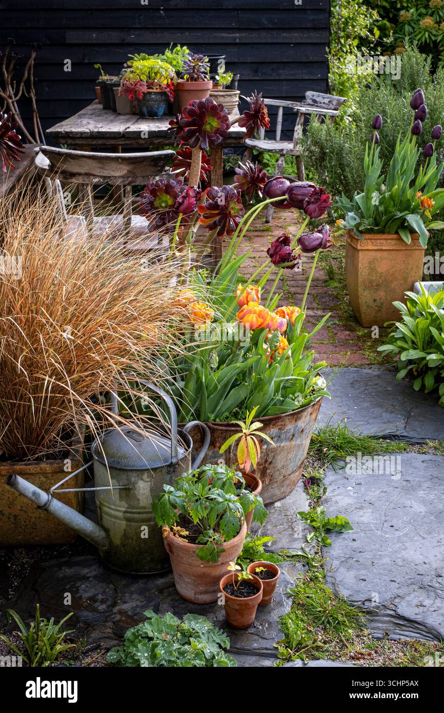 Small cottage garden hi-res stock photography and images - Alamy, image size:866x1390