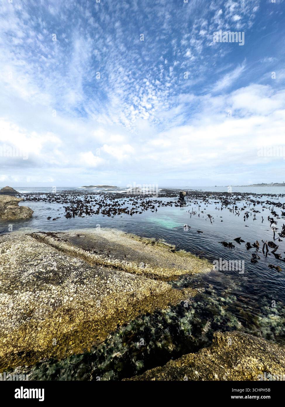 A low-angle, wide-angle shot of a rocky beach in Cape Town. The photograph highlights the pristine, clear water flowing over the sand and rocks in the - Smartphone Captured Stock Image