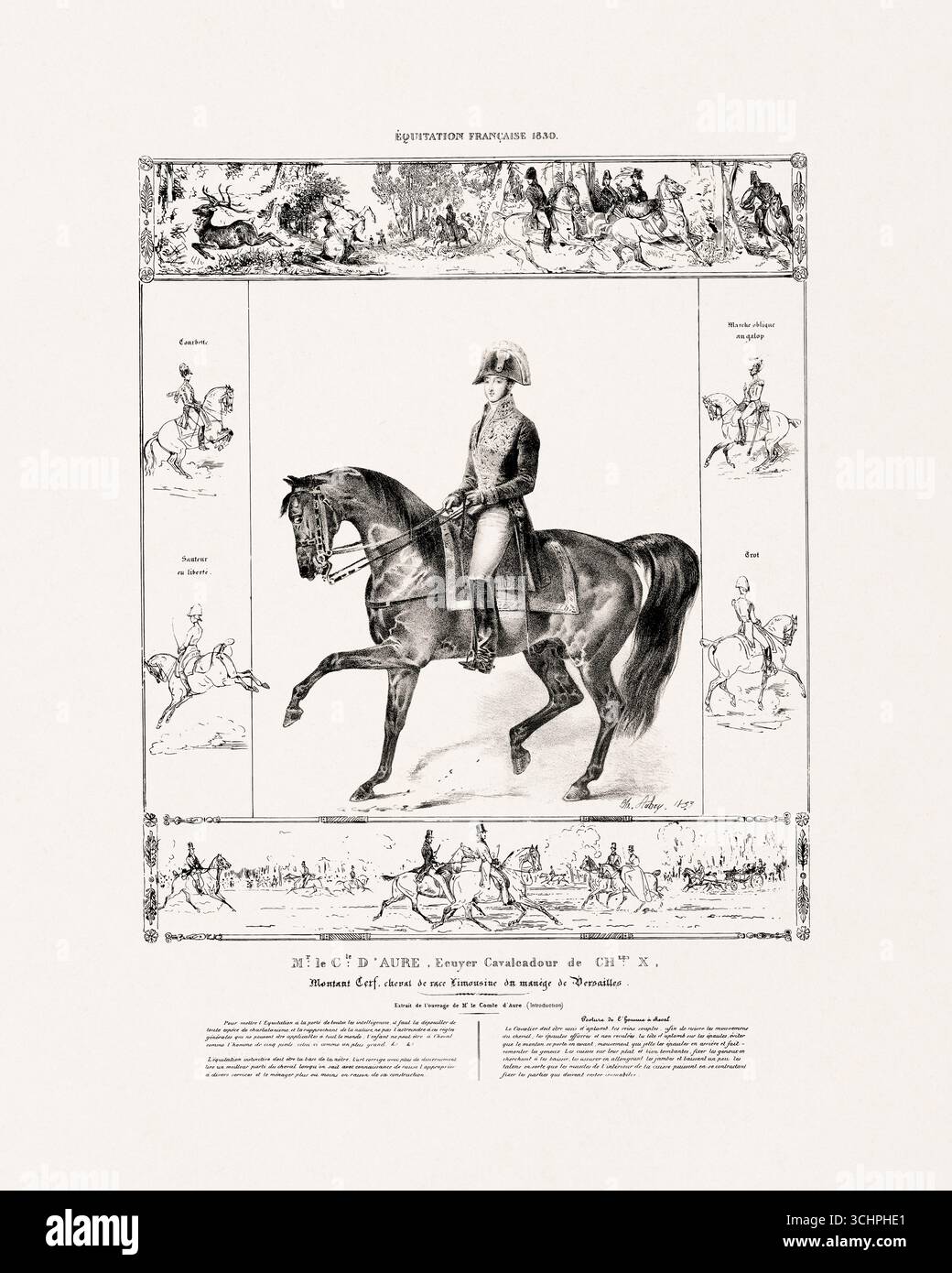 Classical Rider Antique horse illustration from Paris, 1833. Historical scenes of ...