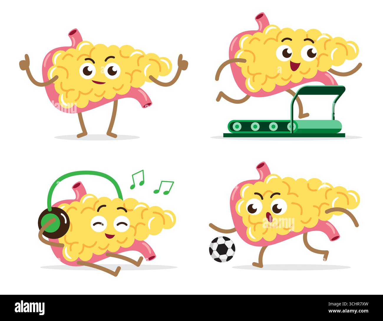 Healthy pancreas cartoon characters collection on isolated white ...
