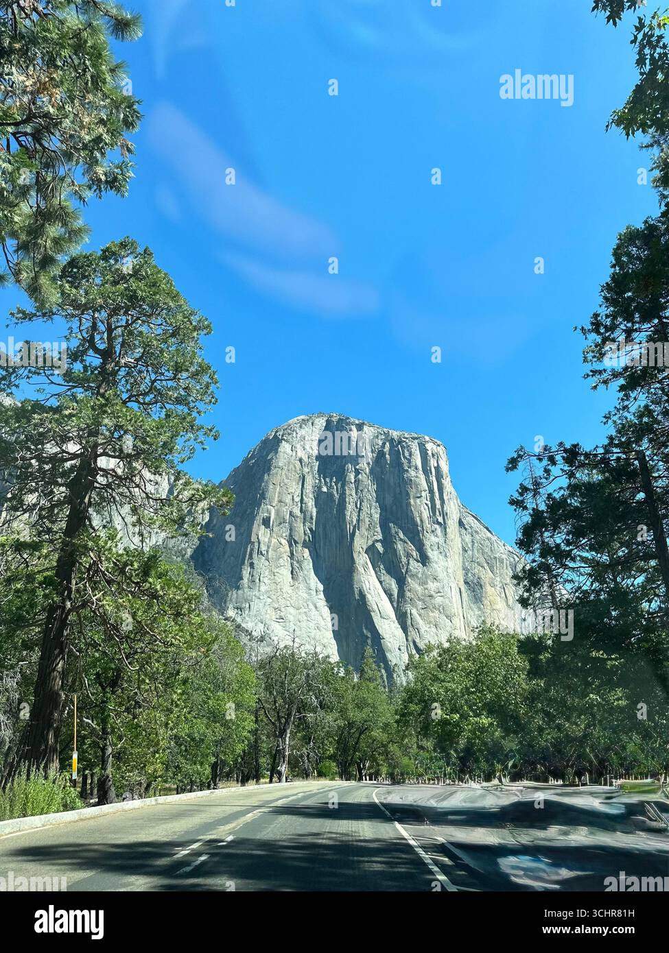 El Capitan, the iconic granite monolith of Yosemite National Park, California, rising above pine trees under a clear blue summer sky. - Smartphone Captured Stock Image