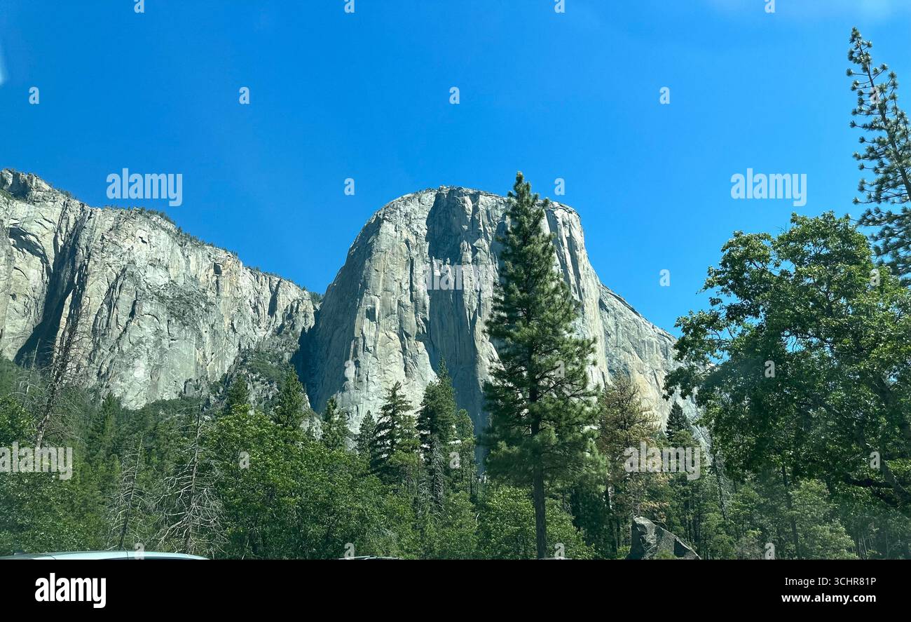 El Capitan, the iconic granite monolith of Yosemite National Park, California, rising above pine trees under a clear blue summer sky. - Smartphone Captured Stock Image