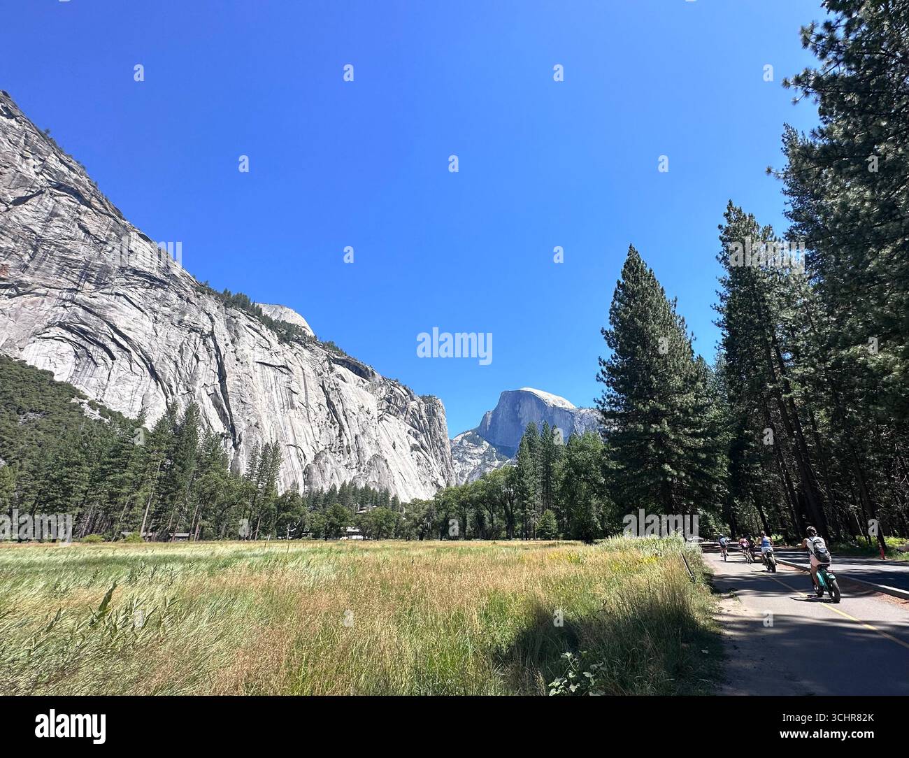 The famous Half Dome rock formation rises above a meadow and pine trees in Yosemite National Park, California, under a clear blue summer sky. - Smartphone Captured Stock Image