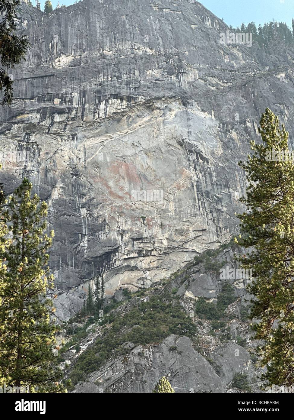 Towering granite cliff face with pine trees in the foreground, Yosemite National Park, California, USA. - Smartphone Captured Stock Image