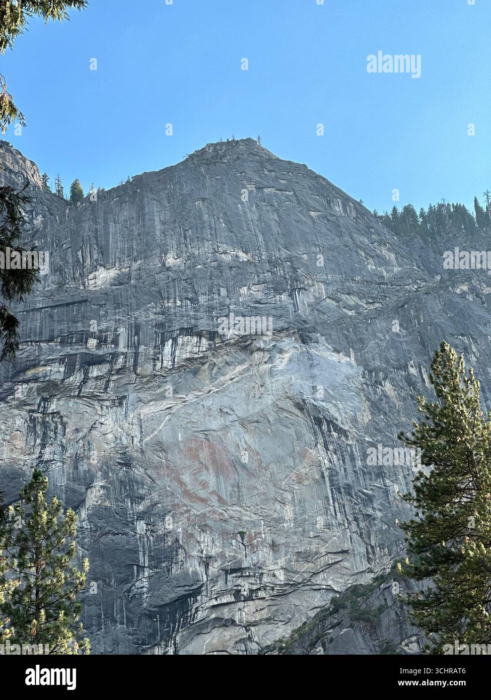 Towering granite cliff face with pine trees in the foreground, Yosemite National Park, California, USA. - Smartphone Captured Stock Image