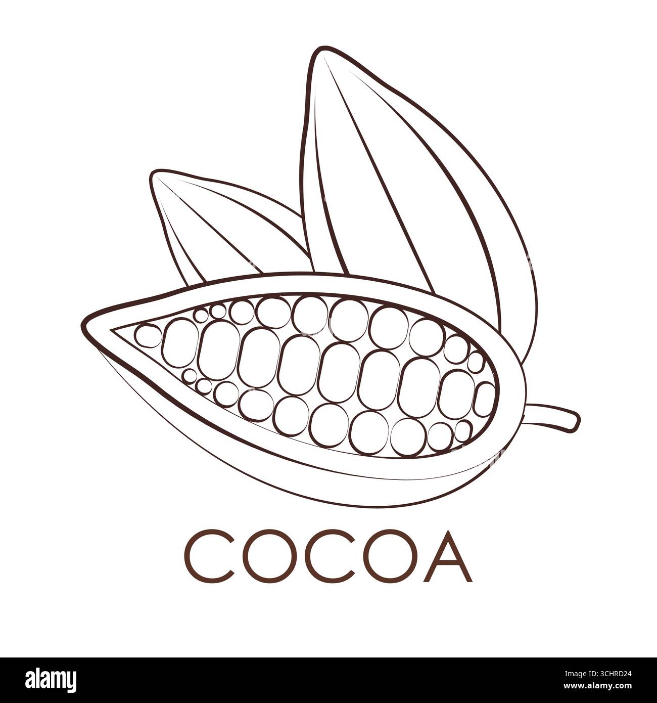 Cocoa bean Logo. Cocoa Icon. Chocolate Cocoa Symbol. Vector Illustration Isolated on White Background. Stock Vector