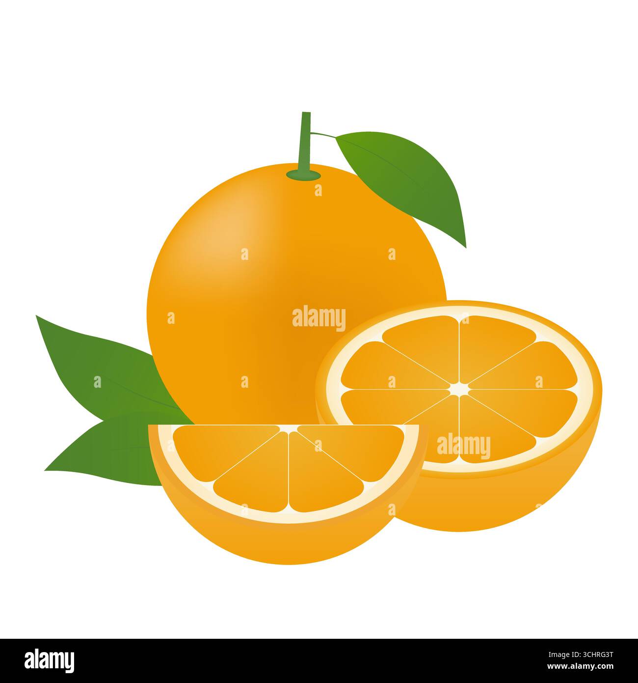 Orange fruit. Vector Illustration Isolated on White Background. Stock Vector