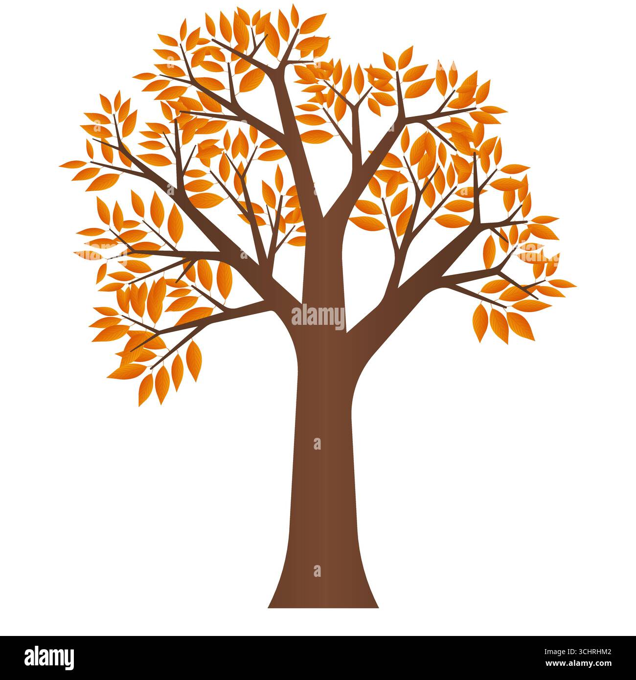 Autumn Tree. Vector Illustration Isolated on White Background Stock ...