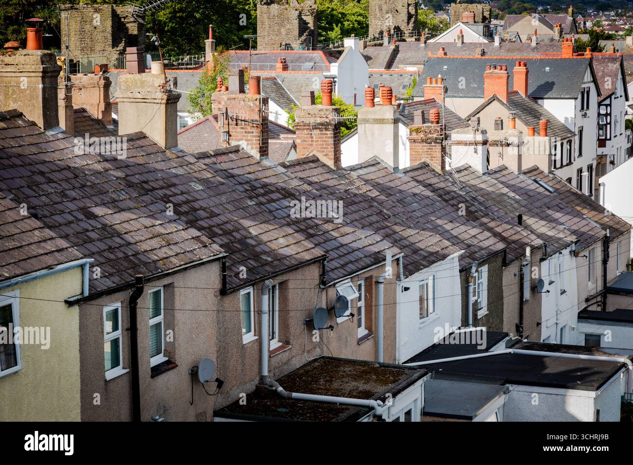 View of a terraced street in Conwy, Wales, UK. 2025 Stock Photo