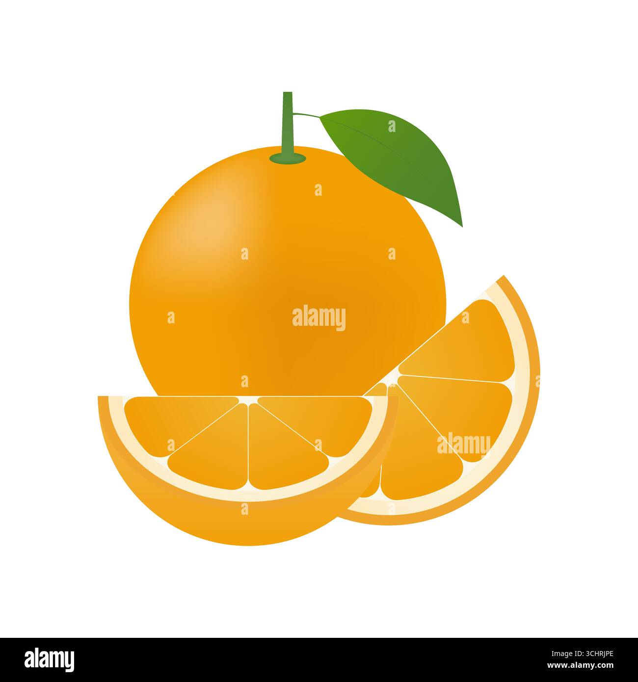 Orange fruit. Vector Illustration Isolated on White Background. Stock Vector