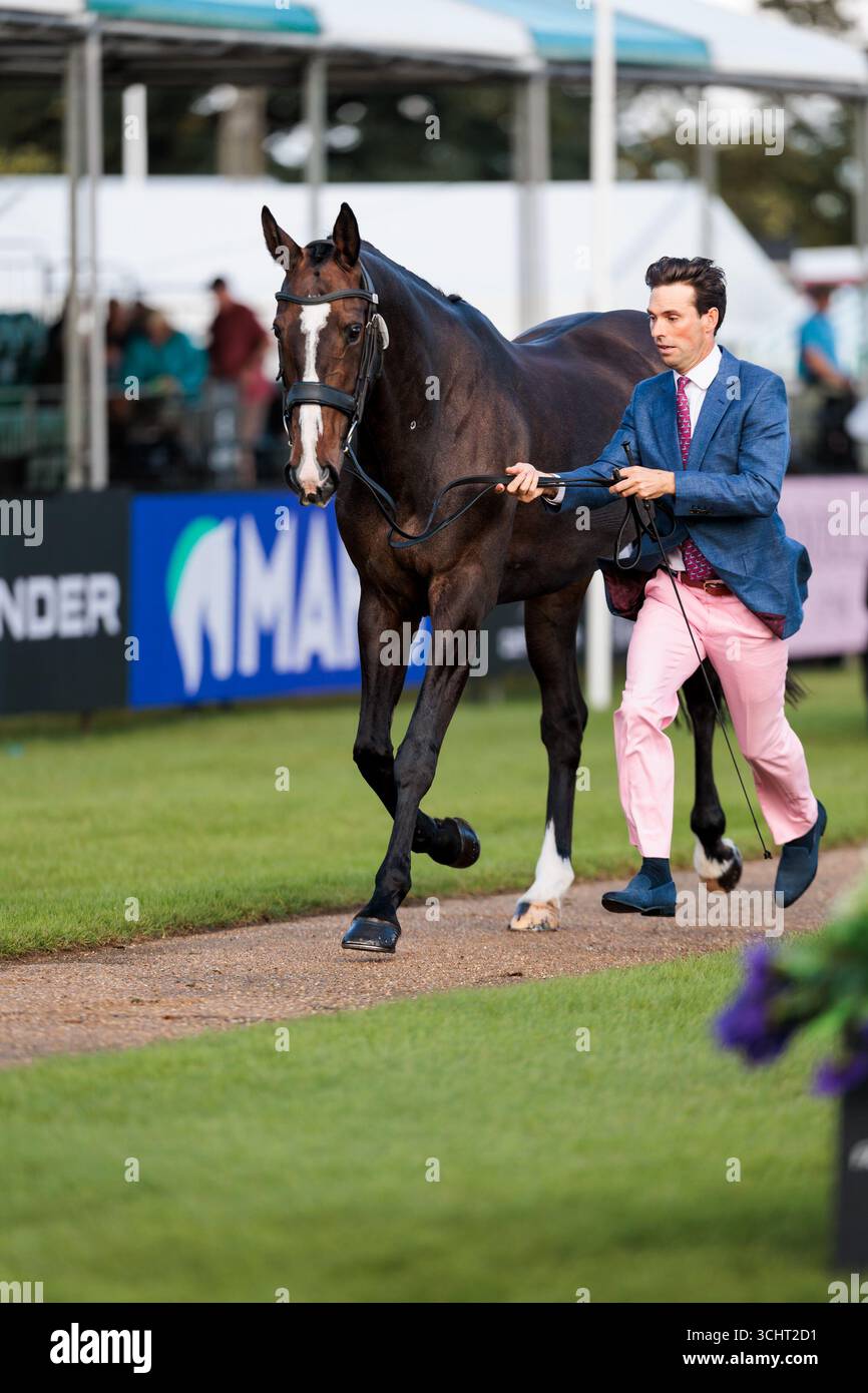 Harry Meade of Great Britain with Annaghmore Valoner during the first ...