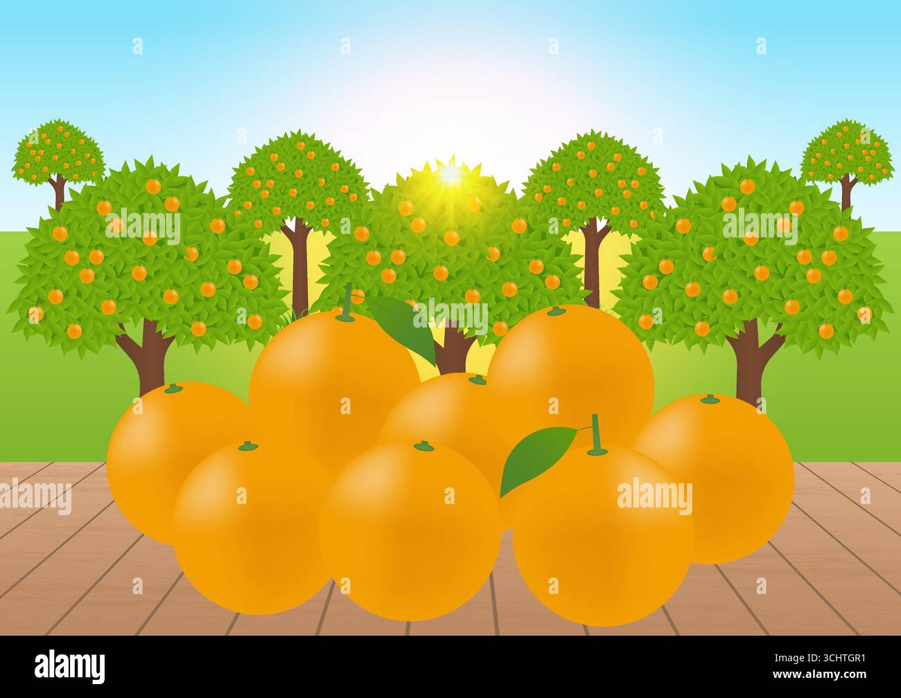 Fresh Orange Fruits Background. Vector Illustration. Stock Vector