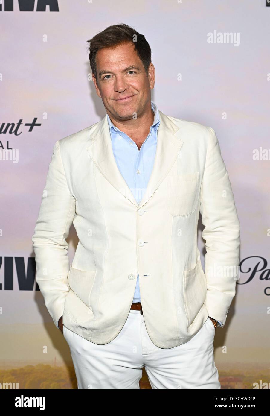 Michael Weatherly attends the 