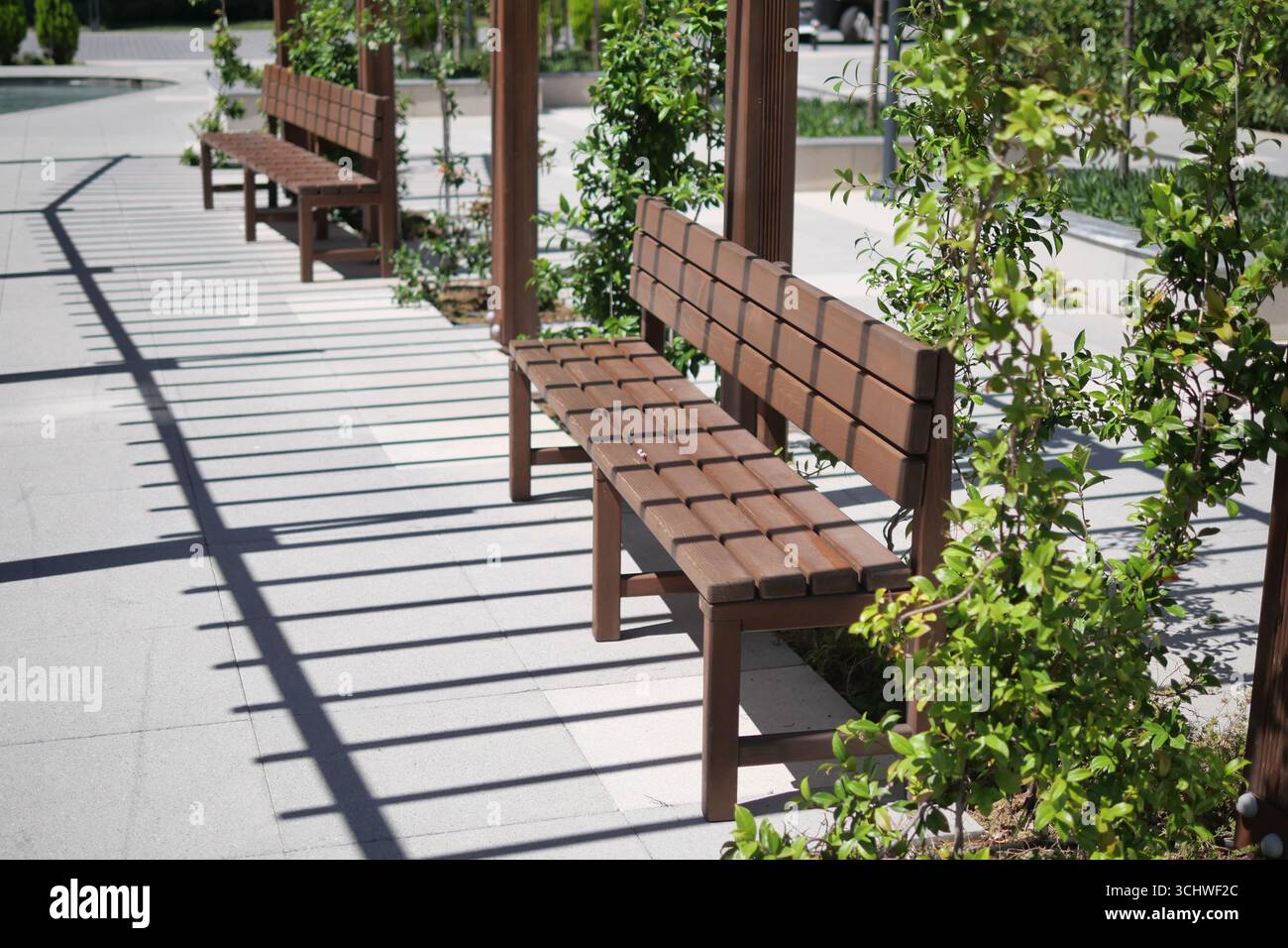 Benches shaded by greenery in a peaceful outdoor space Stock Photo